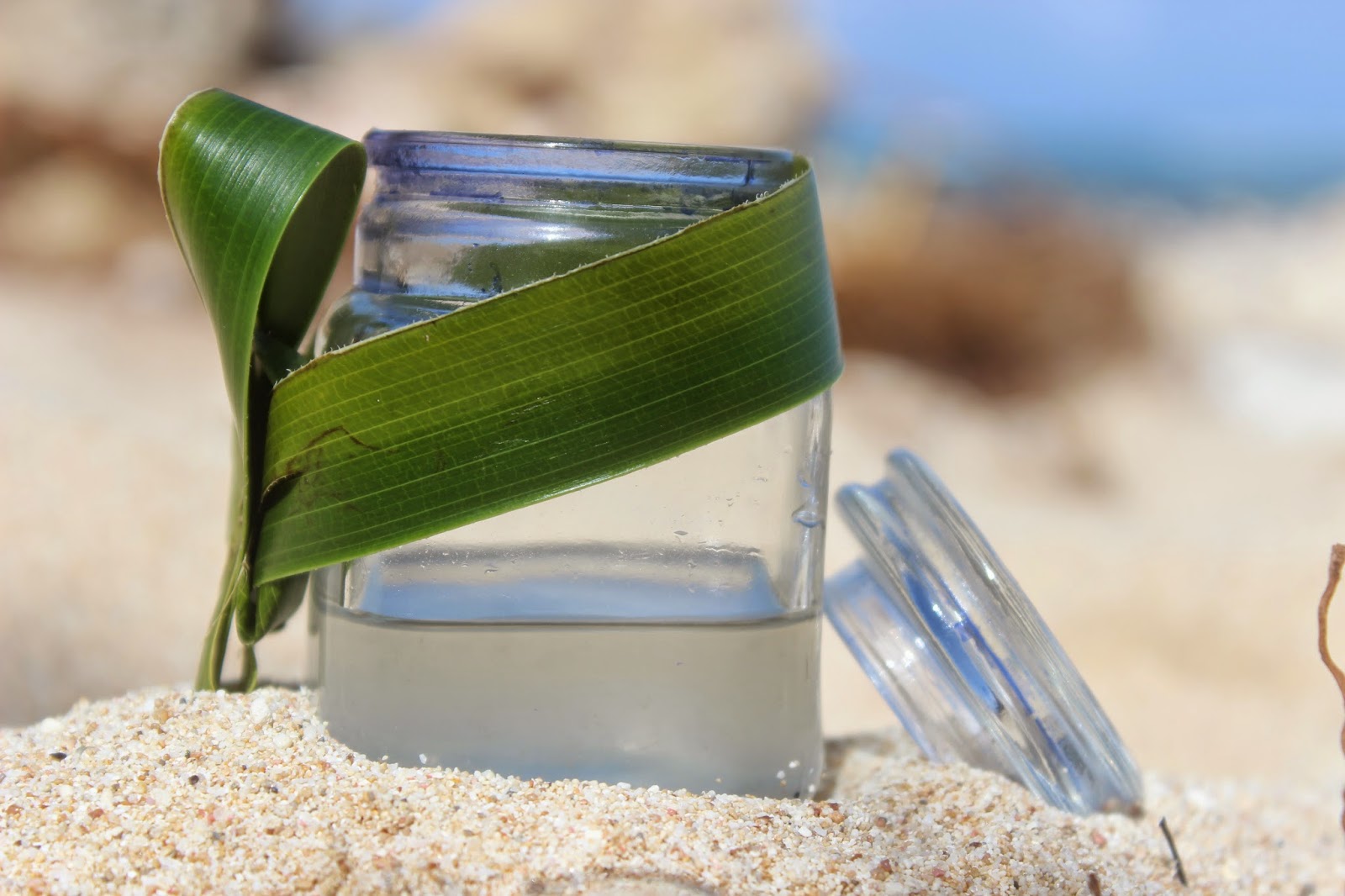 Sucre à cOco: DIY Comment faire son huile de coco maison