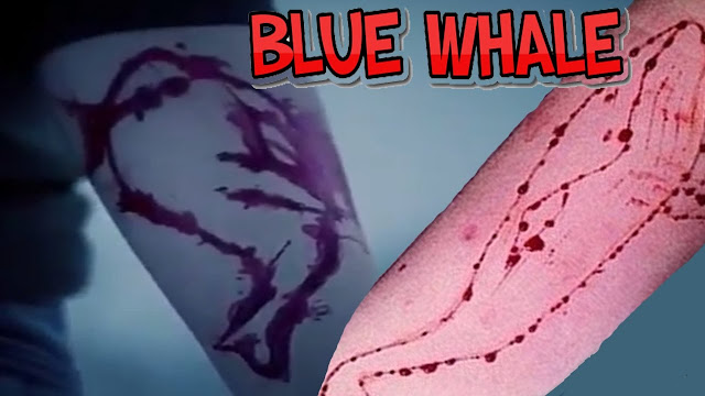 Δοκιμασία Μπλε Φάλαινα