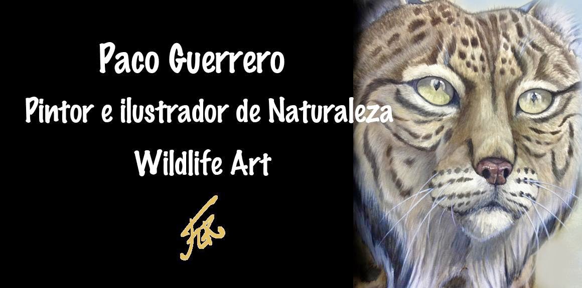 Paco Guerrero Wildlife Art