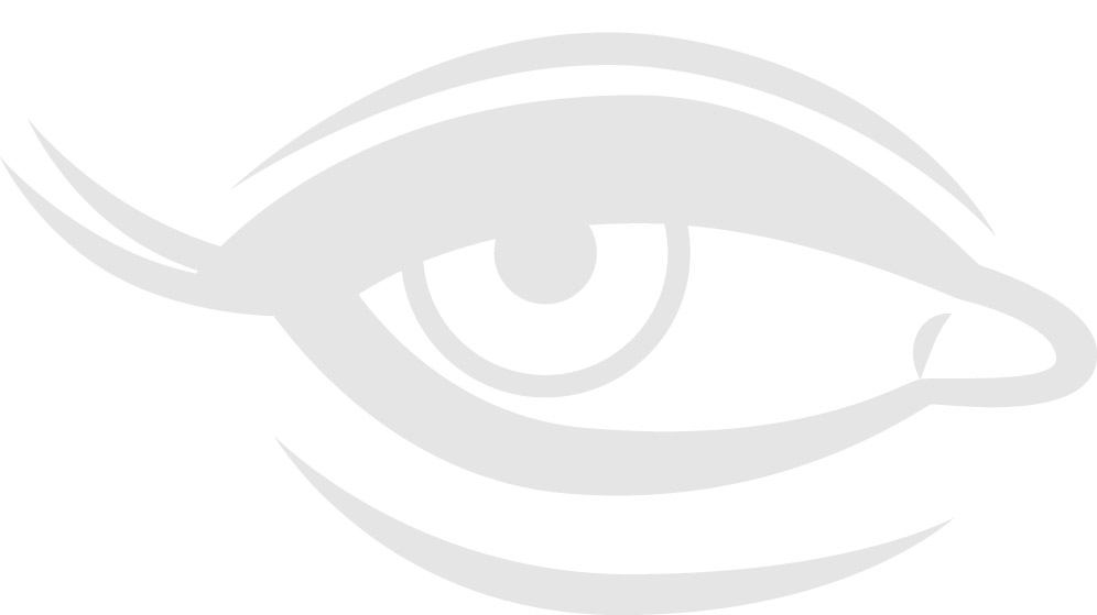 Intro to Digital Art 2013: February 2013