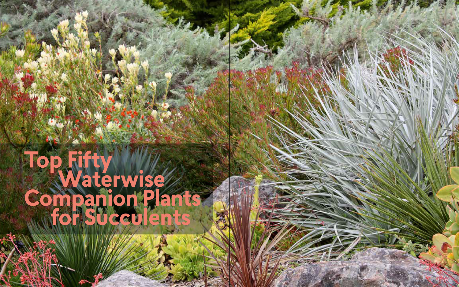 16 Medicinal Plants To Keep In Your Home Proflowers