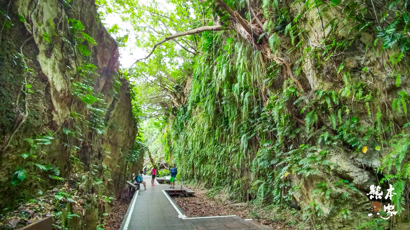 小琉球山豬溝生態步道-彷如阿凡達中身處潘朵拉星上的納美人禁地