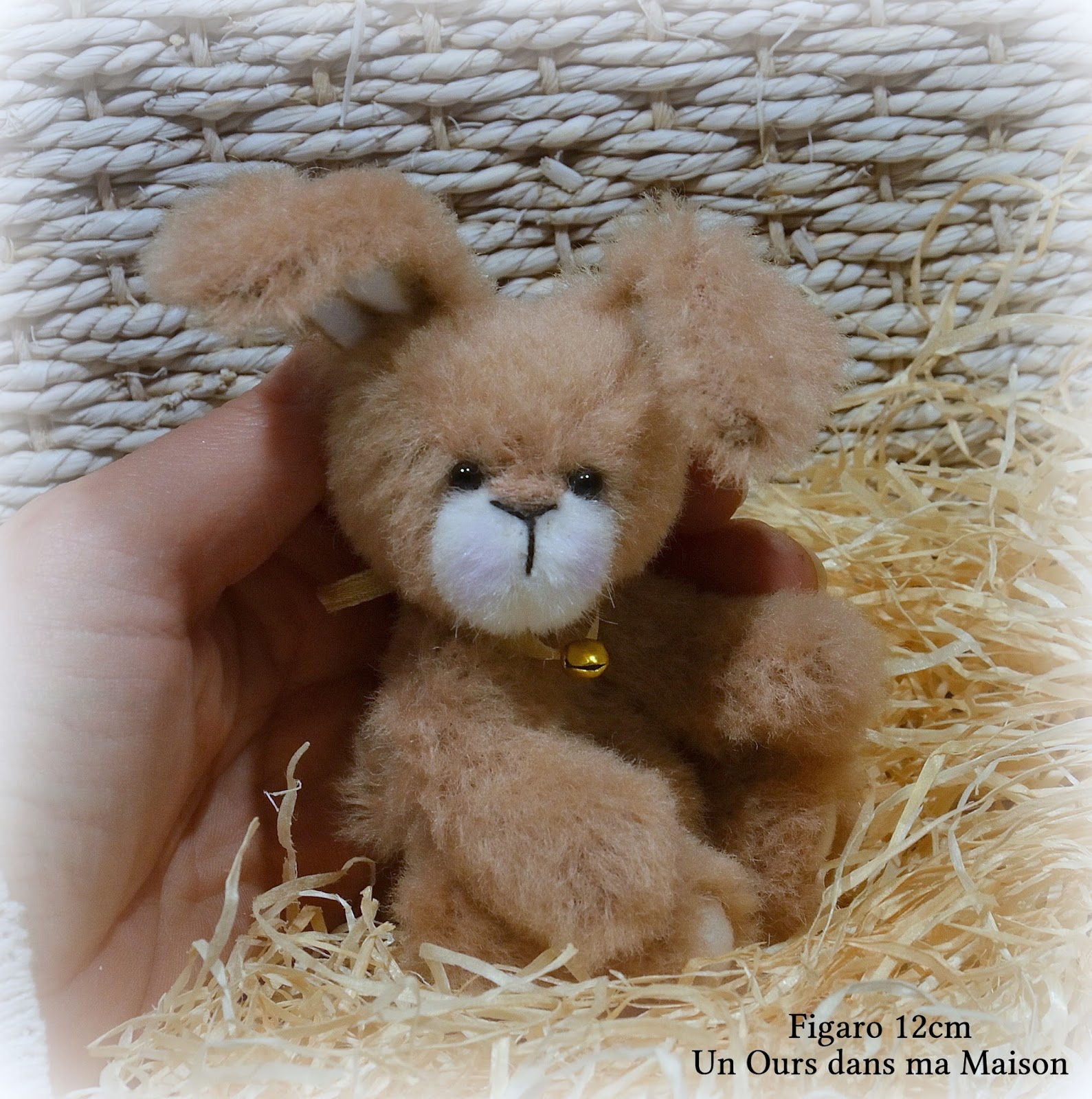 nounours lapin