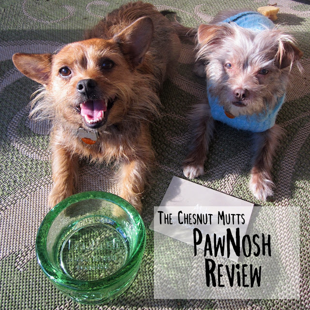 The Chesnut Mutts PawNosh Pet Bowls Review