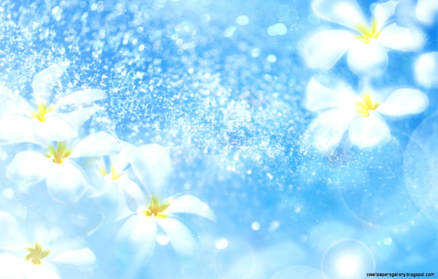 Light Blue Flower Background | Wallpapers Gallery