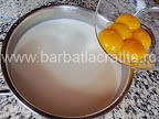 Cremsnit preparare reteta crema de vanilie - galbenusuri