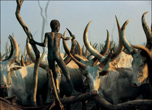 pastores Dinka
