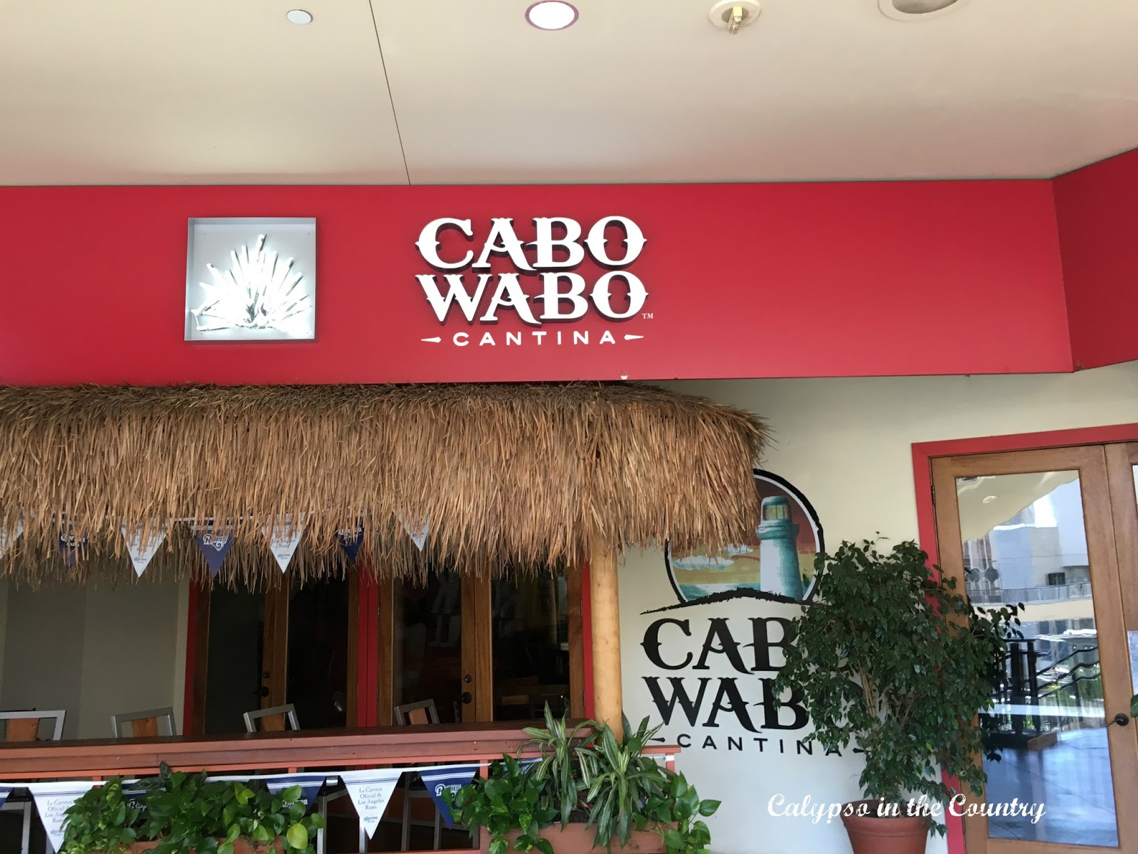 Cabo Wabo Cabo Wabo - Sammy Hagar's restaurant