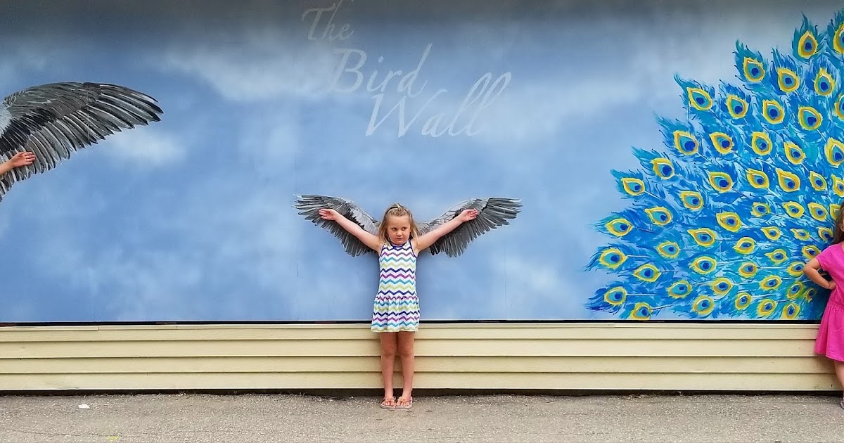 Spread Your Wings at the Saskatoon Zoo - saskmom.com