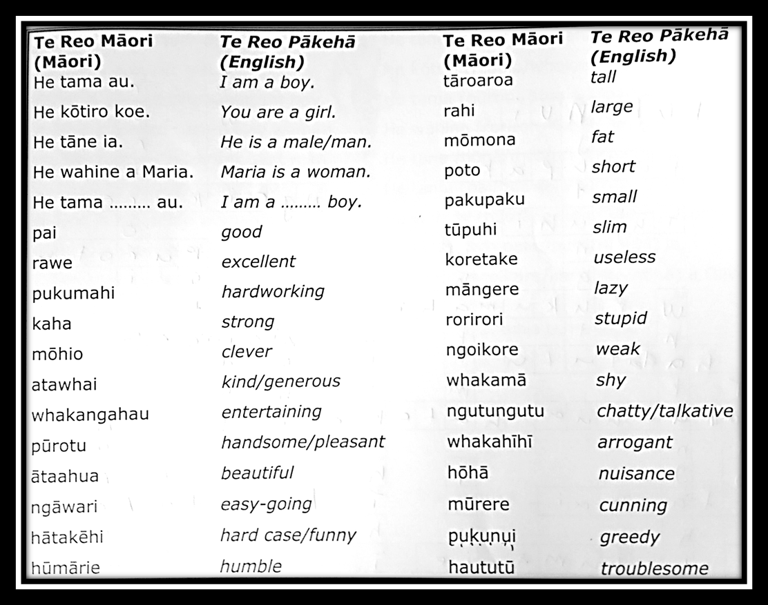 Te Reo Maori