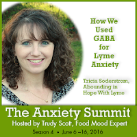 anxiety summit, Lyme anxiety