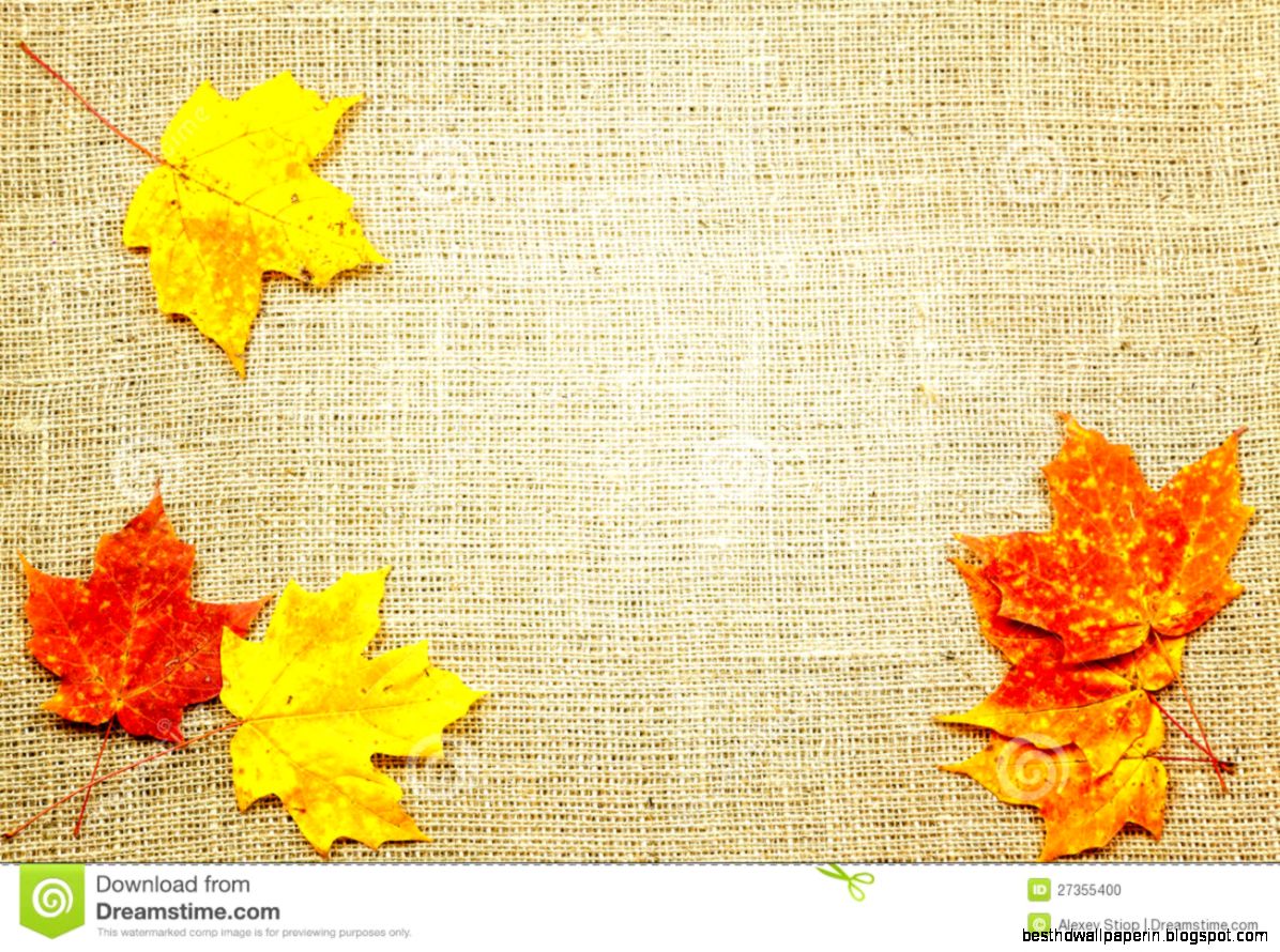 Fall Background Stock Photo   Image 27355400
