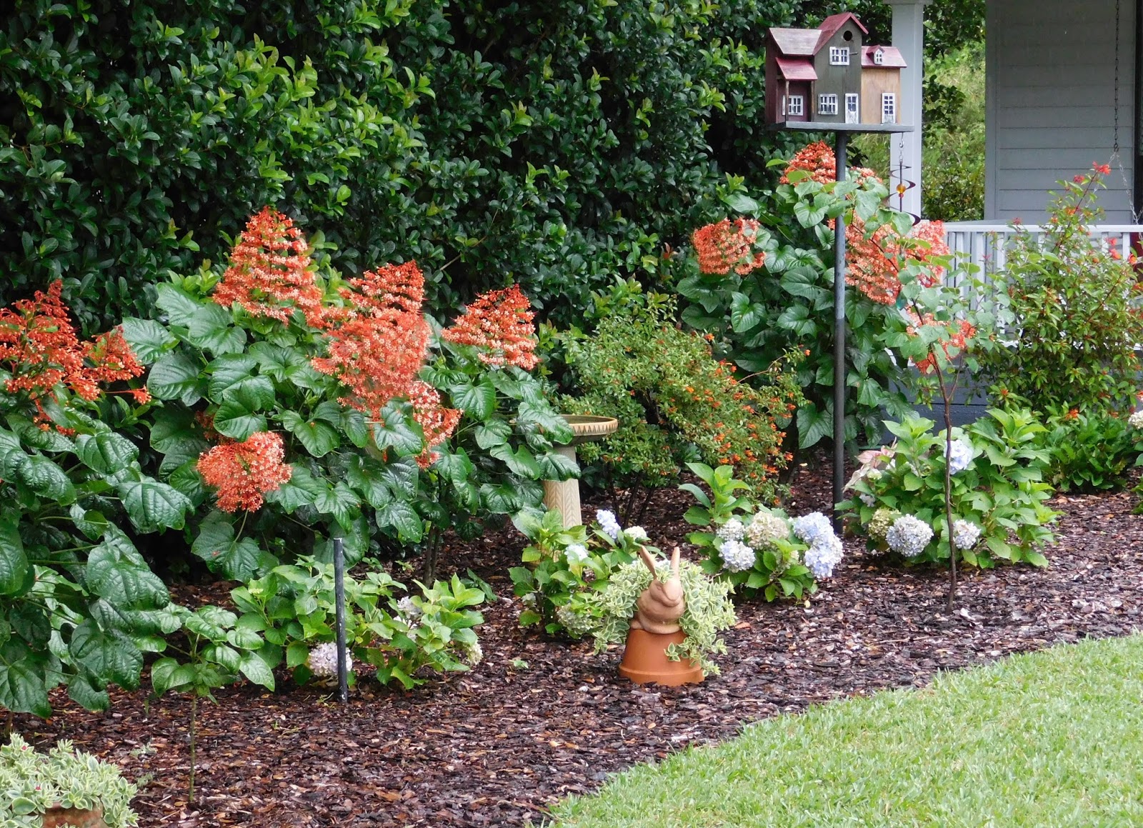 Best Flowers To Grow In Florida Maybe you would like to learn more