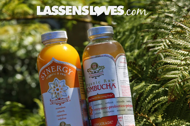 GT+Kombucha, G+T, G+T+Dave, Laraine+Dave, GT+Kombucha+Story