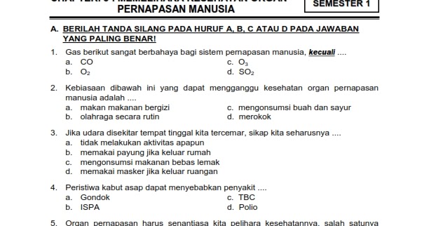 Download Soal Tematik Kelas 5 Semester 1 Tema 2 Subtema 3 Udara Higienis Bagi Kesehatan Memelihara Kesehatan Organ Pernapasan Insan 2019 Dunia Edukasi Download Soal Tematik Kelas 5 Semester 1 Tema 2 Subtema 3 Udara Higienis Bagi Kesehatan Memelihara Kesehatan Organ Pernapasan Insan 2019 Dunia Edukasi