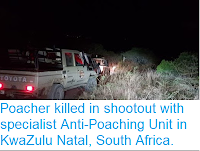 https://sciencythoughts.blogspot.com/2018/07/poacher-killed-in-shootout-with.html