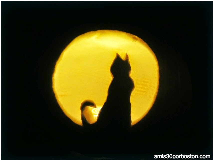 Calabazas Decoradas para Halloween: Gato y Luna Llena 