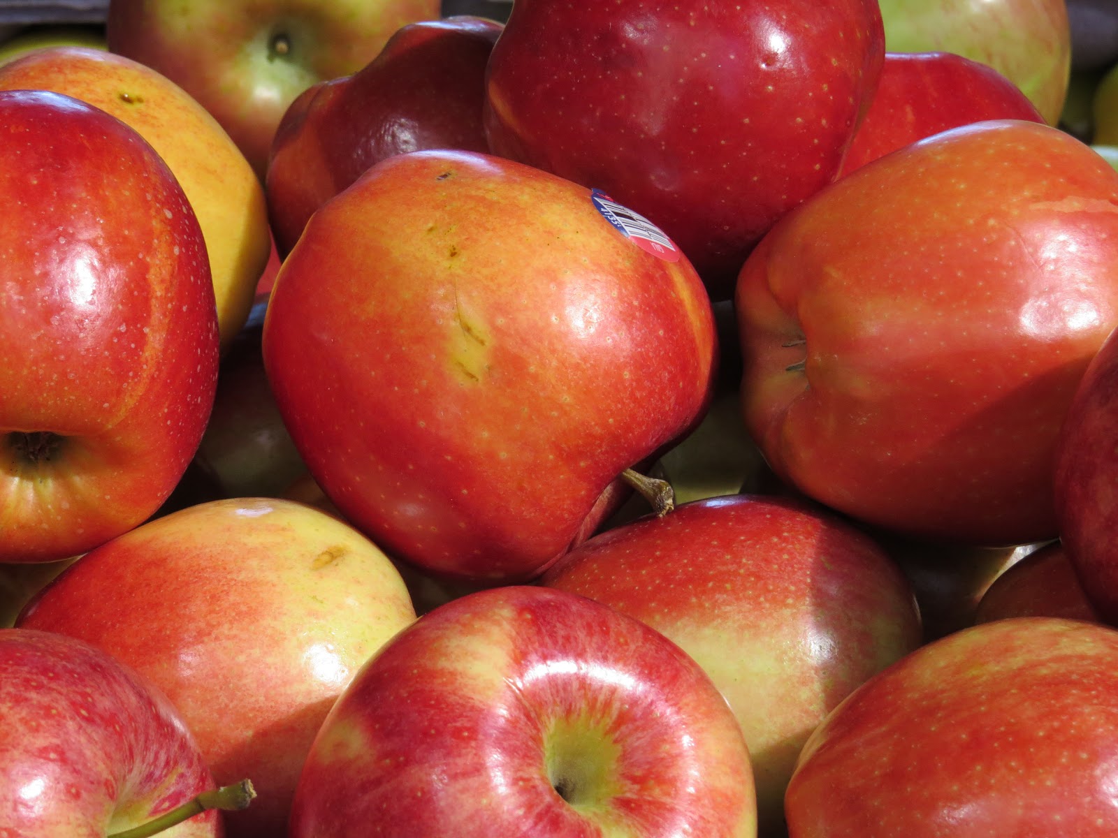 H and B Digital Photography Blog & Review: Canon PowerShot SX50 HS 24mm