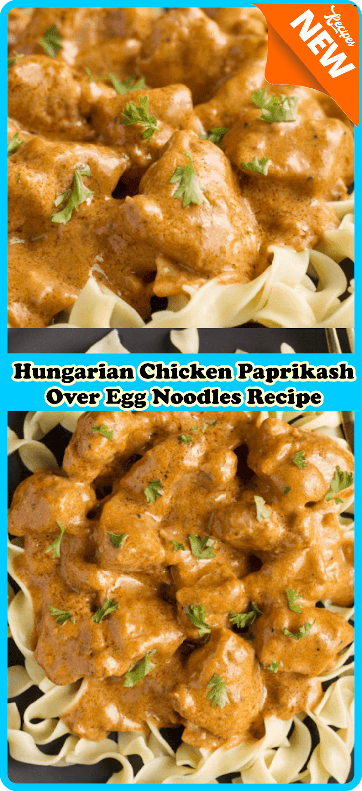 Hungarian Chicken Paprikash Over Egg Noodles Recipe Extra Ordinary Food