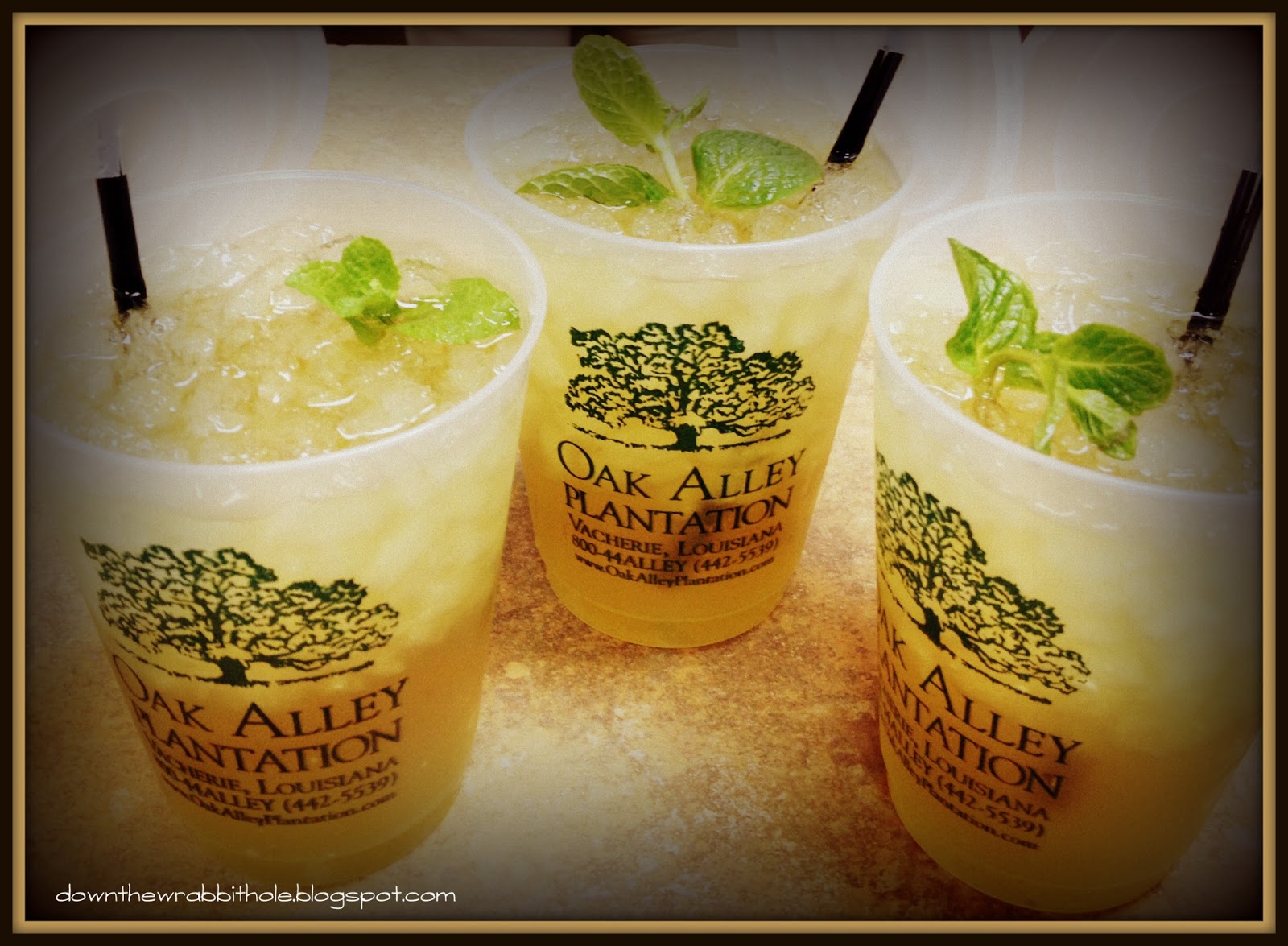 Down the Wrabbit Hole The Travel Bucket List Walk Through History at