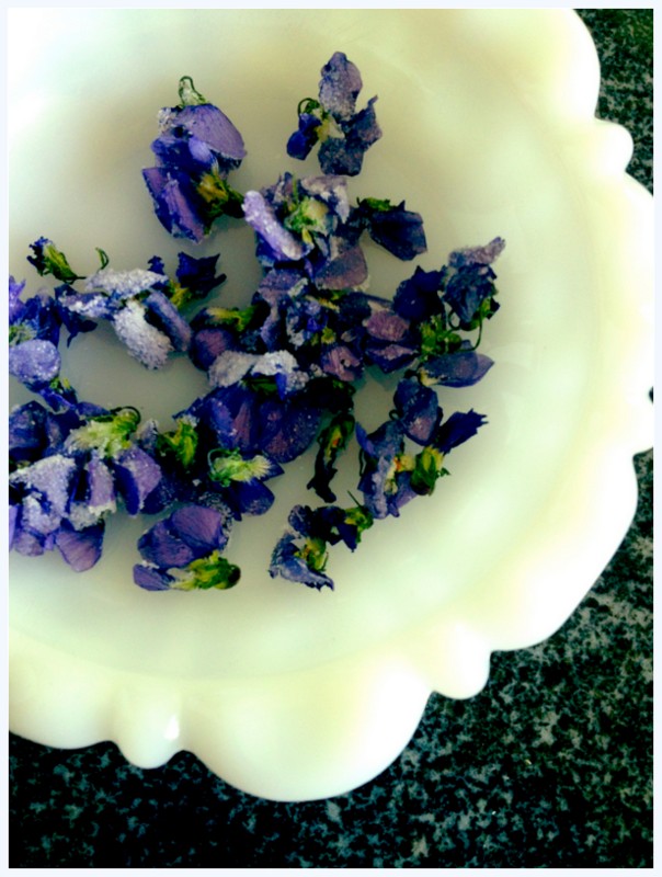 Life In Sugar Hollow Candied Violets
