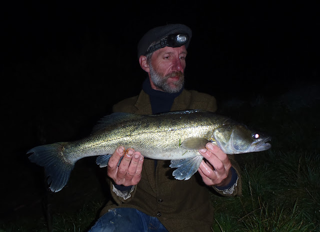 Warwickshire Avon zander at 4lb 4oz