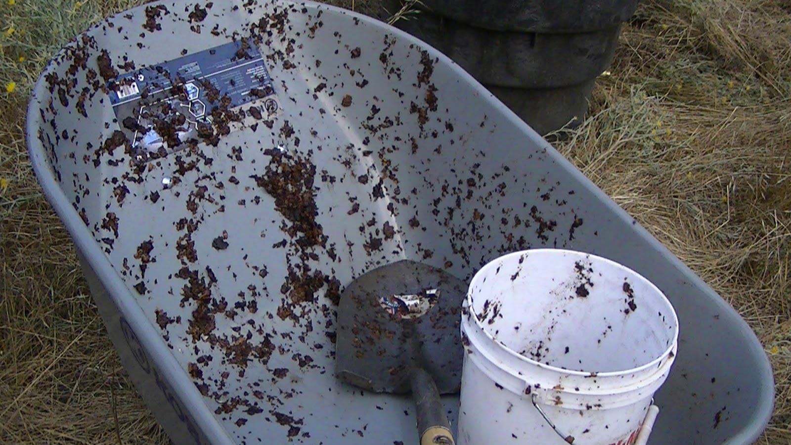 Star Gulch Farms Plants love things that smell like poop