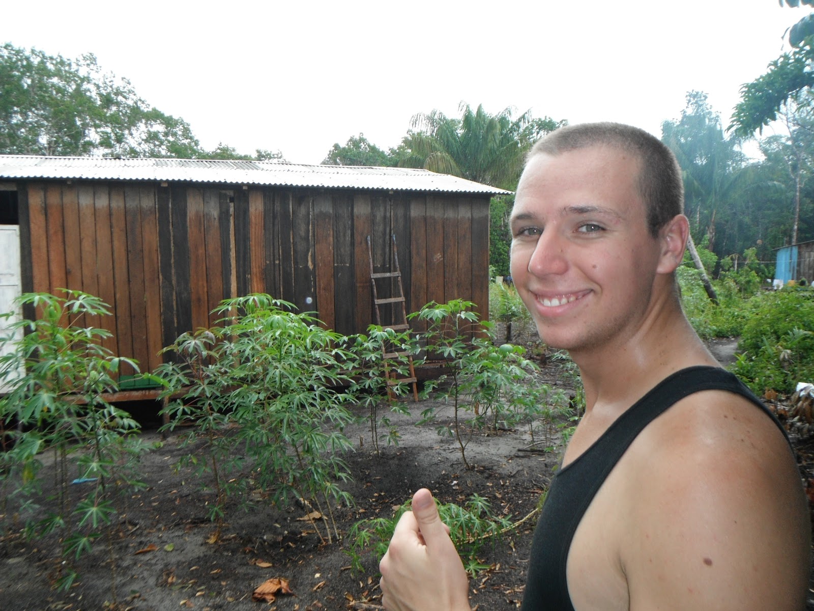 Living for the One Amazon Jungle