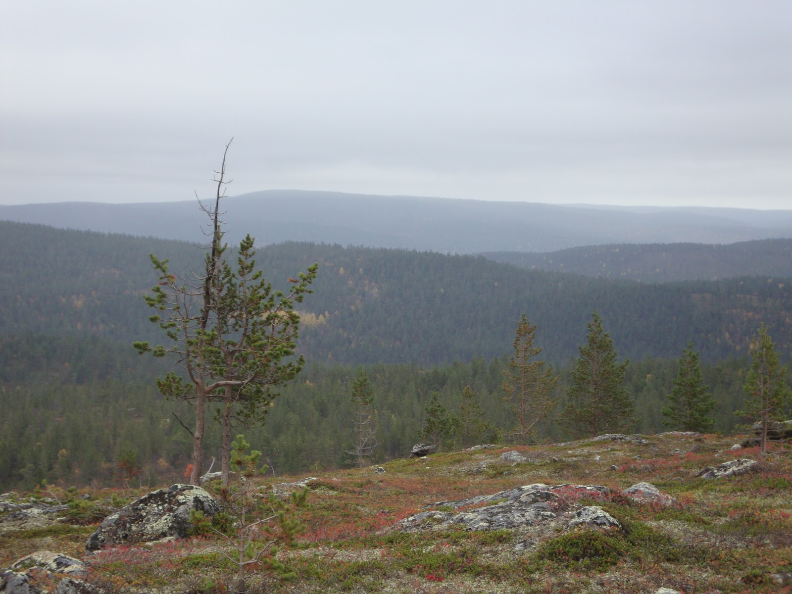 retkeily: Hammastunturin erämaa-alue