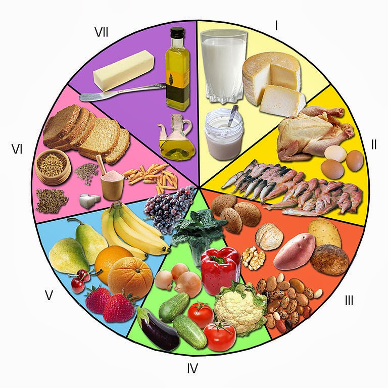dieta carbohidratos y proteinas dieta carbohidratos y proteinas