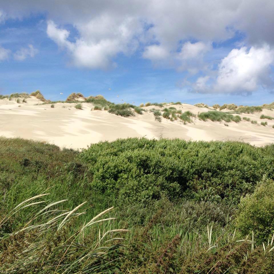 Verlossende Aflossers Binnen Een Straal Van 300 Meter verlossende-aflossers-binnen-een-straal-van-300-meter