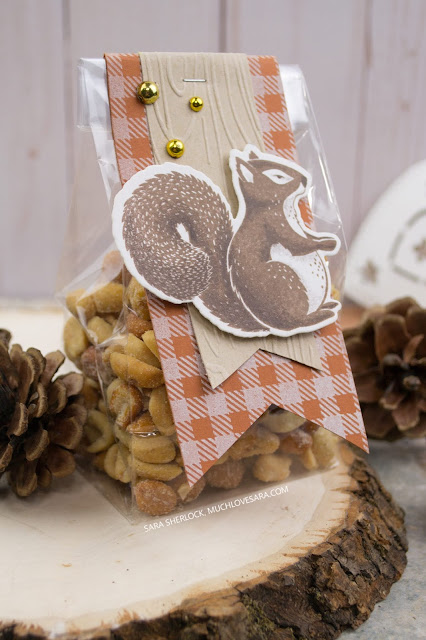 This adorable fall treat bag is perfect for those NUTso people who aren't into sweets.  Created using the Thankful Friends stamp & die bundle, and the Flannel Life background stamp, from Fun Stampers Journey.  