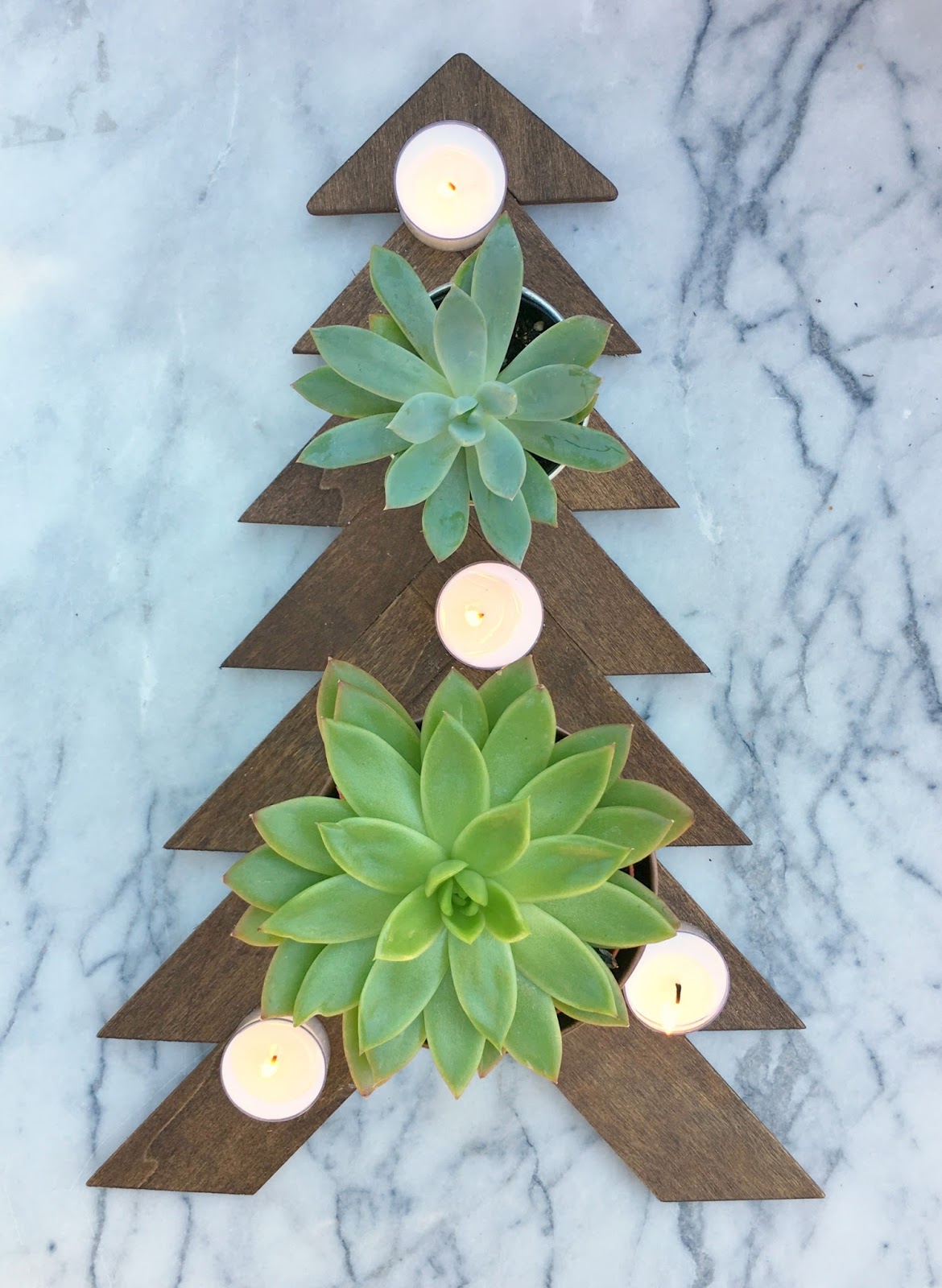 Jac o' lyn Murphy A succulent Christmas Tree