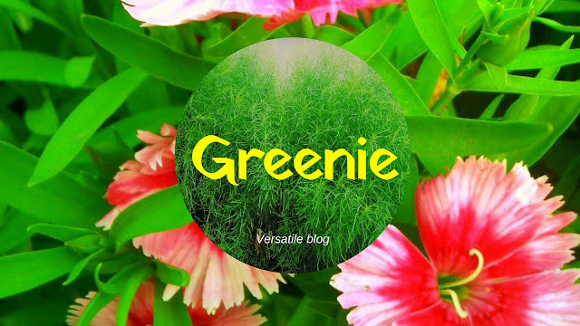 8 Words for nature lovers Meaning of greenie
