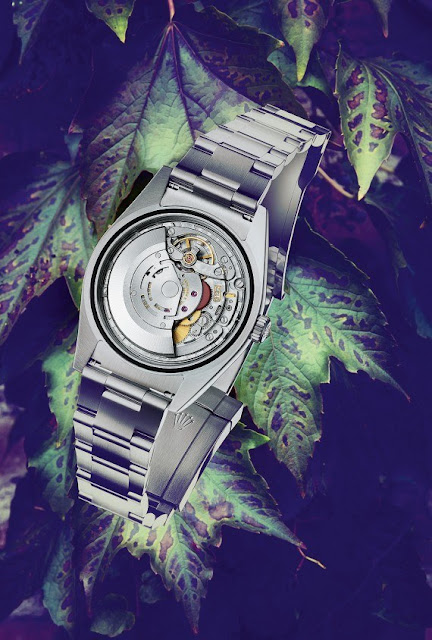 Đồng hồ cho mọi mùa: Rolex Oyster Perpetual 39 - 2