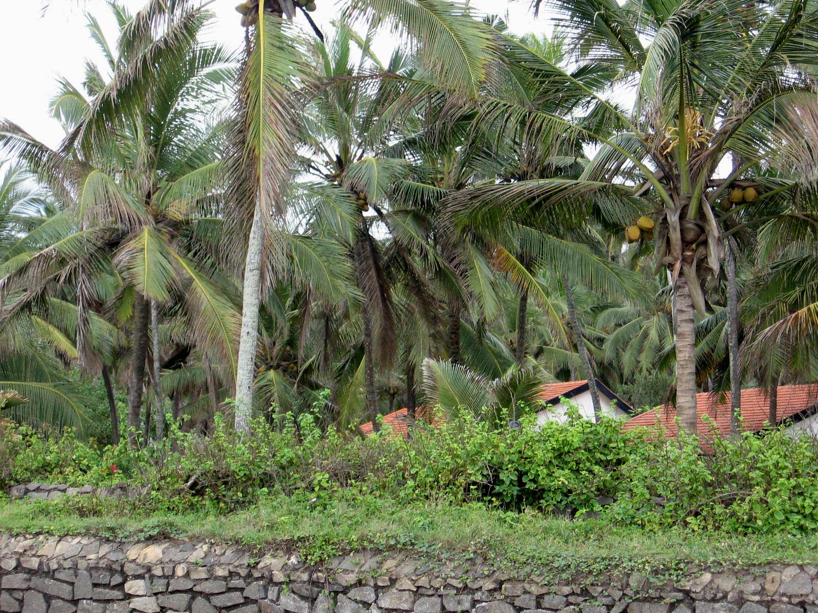 Ebharat Darshan KOVALAM BEACH THIRUVANANTHAPURAM