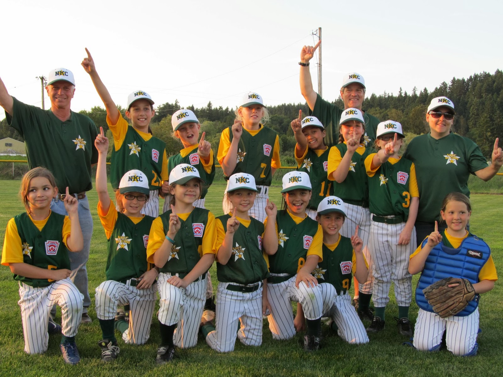 Shoreline Area News Don't kill the ump Umpire training and Rules