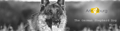 Ultimate German Shepherd Guide - Puppies Behavior Study, Raising & Training GSD Dog