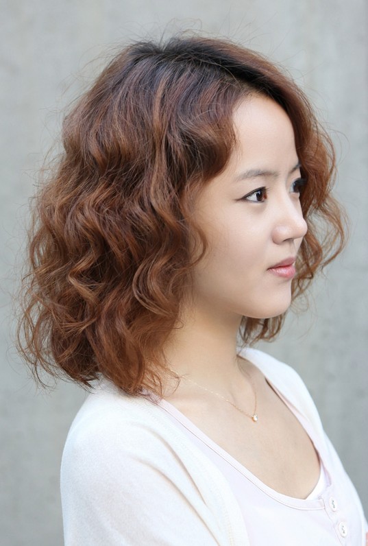  Korean  Short  Curly  Hairstyle  Etcetera Etcetera