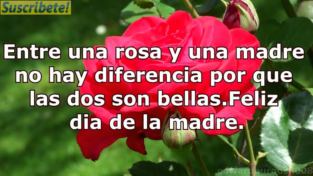 Frases Para El Dia De La Madre Frases Para El Dia De La Madre