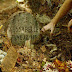 Jessabelle - O Passado Nunca Morre (2014)