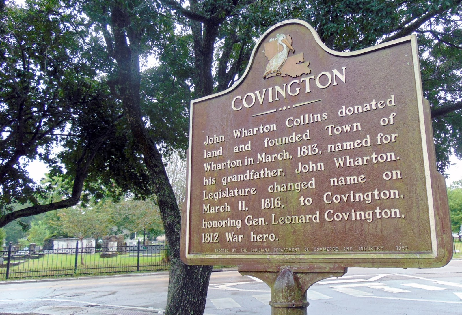 Tammany Family Covington History