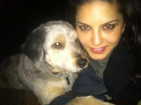 Sunny leone with puppy