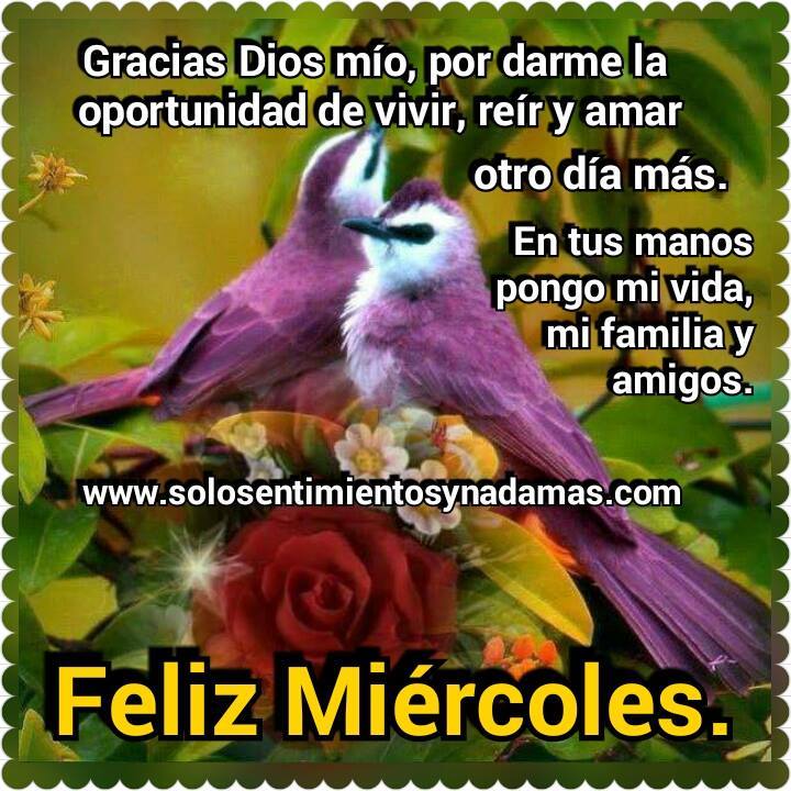 Gracias Dios Mio Por Darme La Oportunidad De Vivir Solo Sentimientos Y Nada Mas