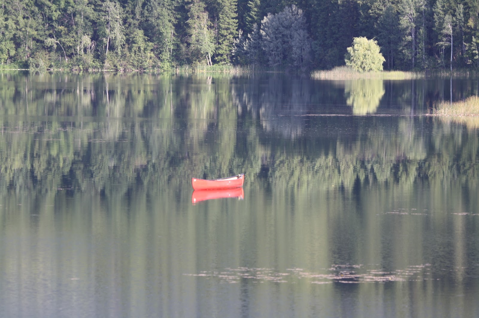 The Lake House, Clearwater, BC Thunder, lightening and hail the size