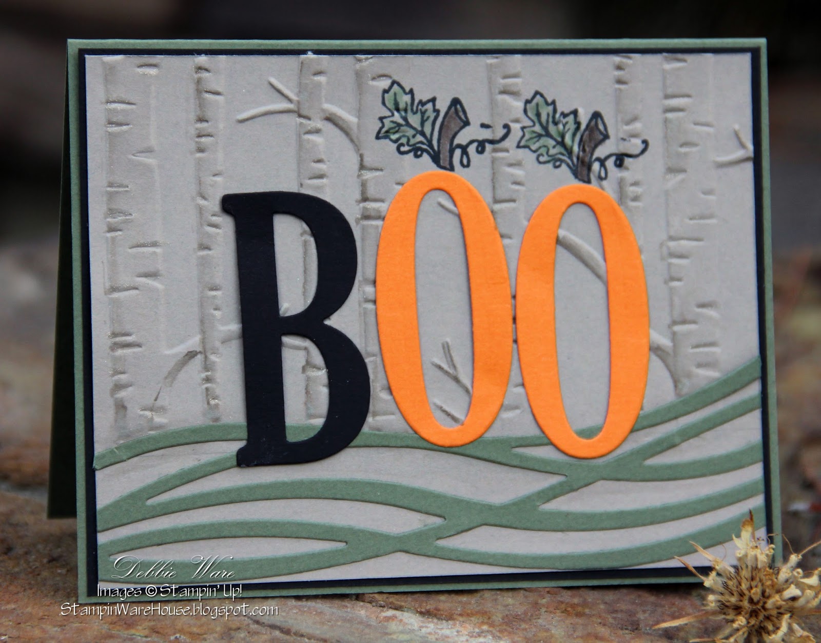 One Year Trip Toronto Graffiti Kensington Market 10 Amazing