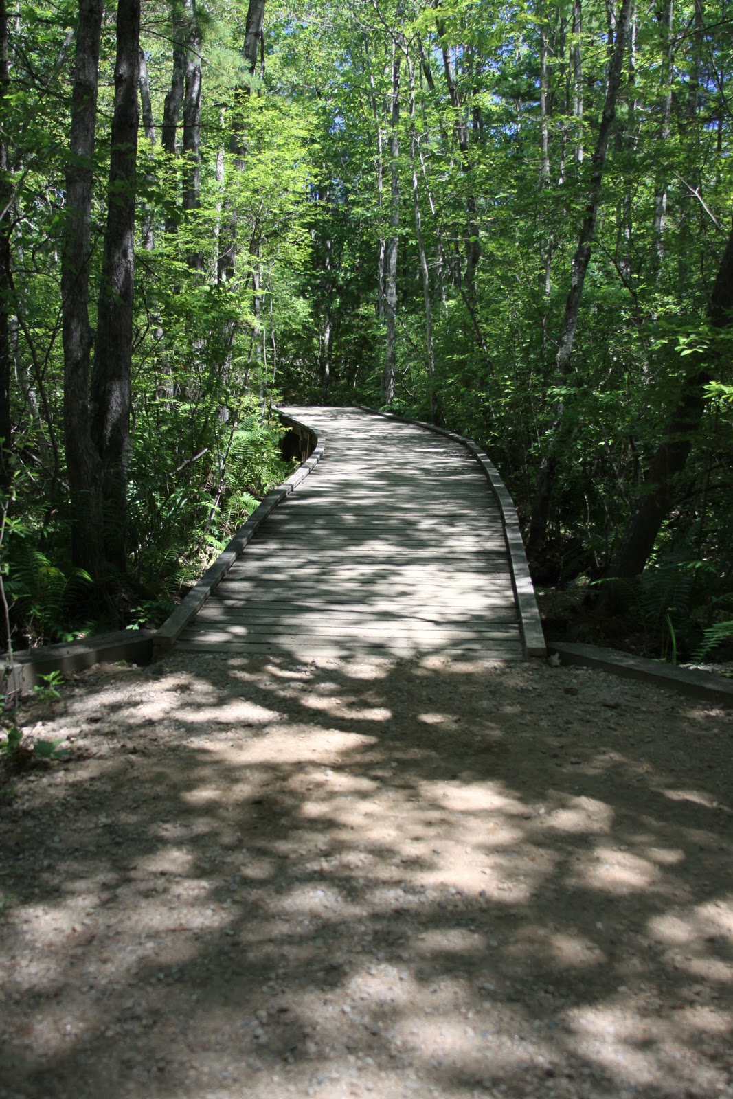 Ferry Beach State Park, Saco Maine the walking trails