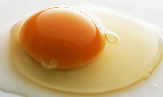 Putih telur mempunyai cukup banyak manfaat bagi ba& 7 Manfaat Putih Telur 