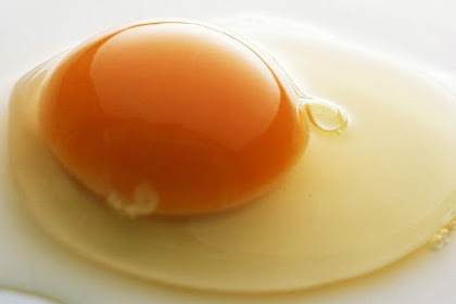 7 Manfaat Putih Telur~