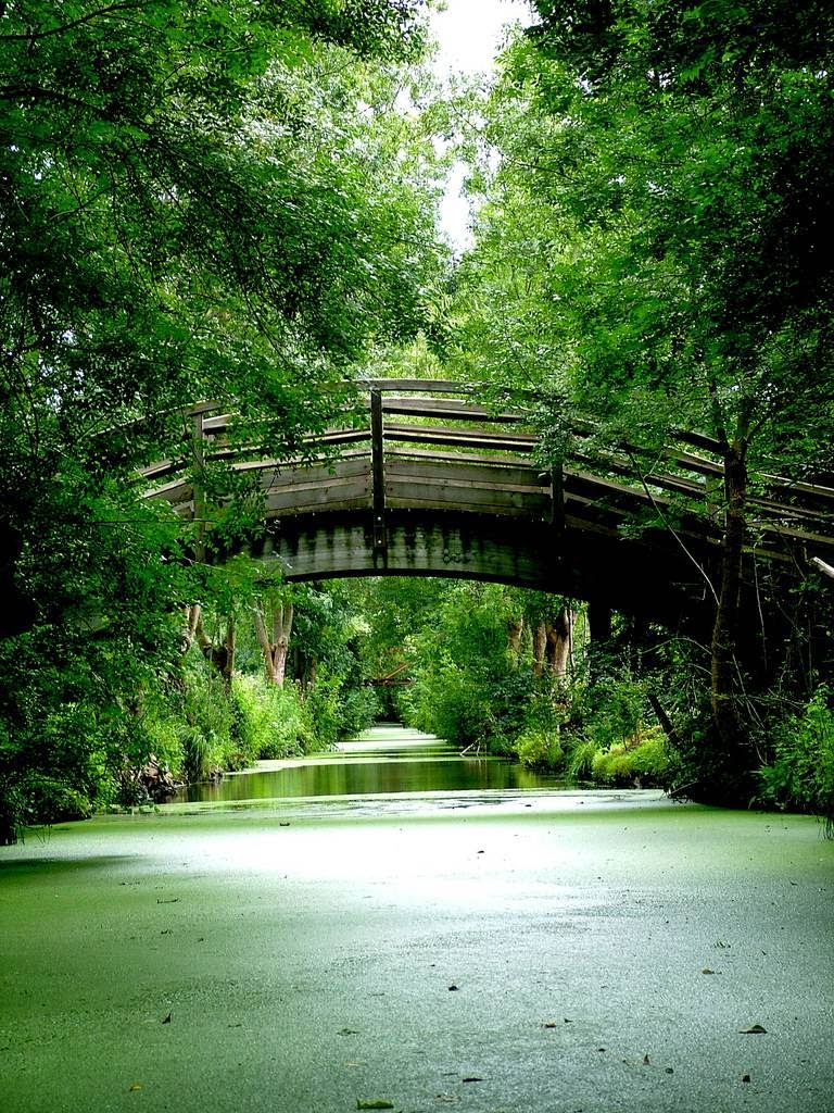 Marais Poitevin France’s Green Venice Kuriositas